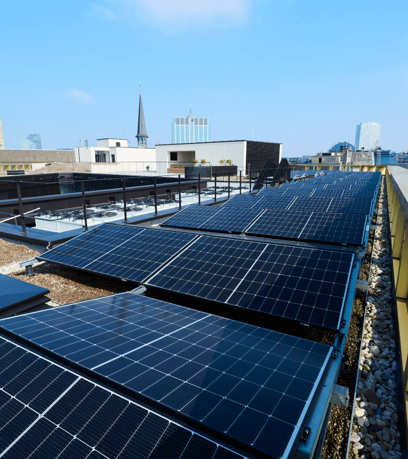 Office renovation and photovoltaic panels for energy efficiency