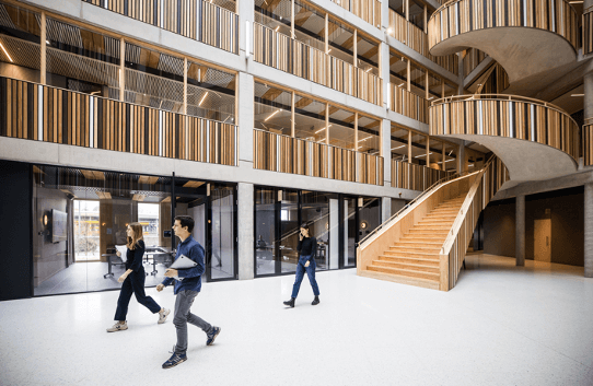 Net zero carbon neutral wooden office